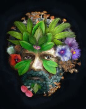 shadow weaver terence mckenna