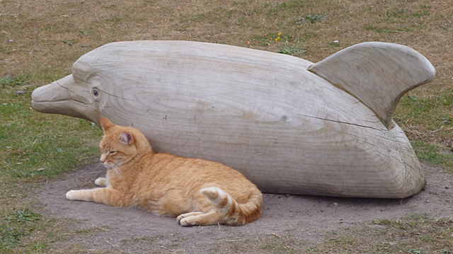 A ginger cat with a wooden dolphin sculpture.
