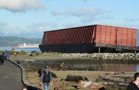 Nature of the Beast—Barge Chilling Park (Transcript)