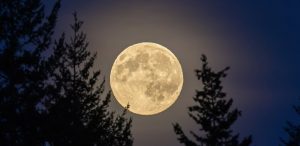 the mask the moon transcript