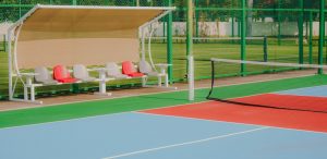 trans sports