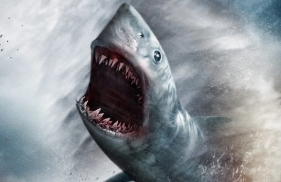 Sharknado with R.S. Benedict